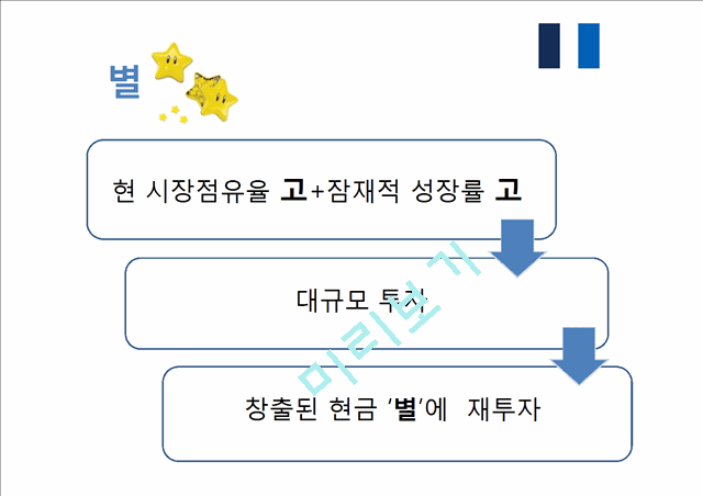 BCG & GE matrix   (6 )